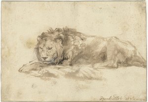 Liggende løve (Liggende leeuw). 1650-59 av Rembrandt van Rijn