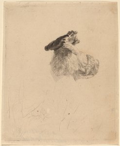 Gammel mann som skygger for øynene med hånden av Rembrandt van Rijn