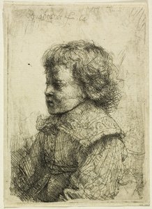 Portrett av en gutt av Rembrandt van Rijn