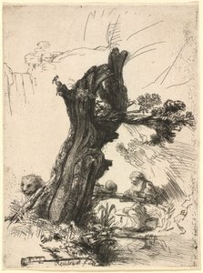 Saint Jerome ved siden av en Pollard Willow av Rembrandt van Rijn