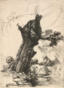 Saint Jerome ved siden av en Pollard Willow, 1648. av Rembrandt van Rijn