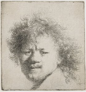 Selvportrett med langt buskete hår: kun hode, ca 1631. av Rembrandt van Rijn