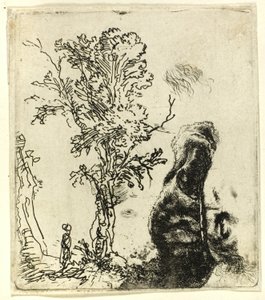 Ark med to studier: Et tre, og den øvre delen av hodet til kunstneren iført en fløyelshette av Rembrandt van Rijn