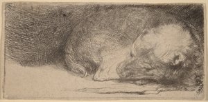  av Rembrandt van Rijn