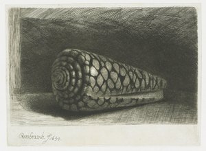 Skallet av Rembrandt van Rijn