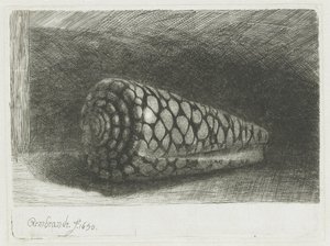 Skallet av Rembrandt van Rijn
