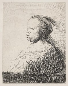 Den hvite svarte av Rembrandt van Rijn
