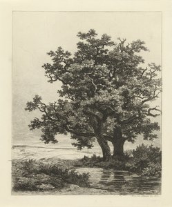 To eiker på en innsjø av Remigius Adrianus Haanen