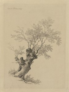 piletre av Remigius Adrianus Haanen