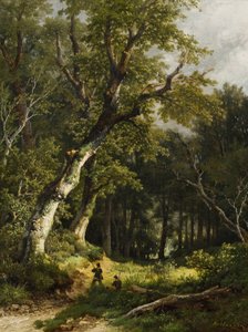  av Remigius Adrianus Haanen