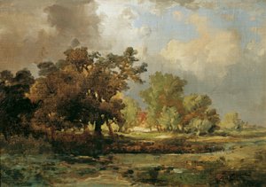 Motiv fra Oosterhout i Holland