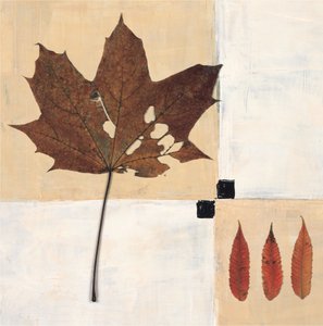 av Renate Holzner
