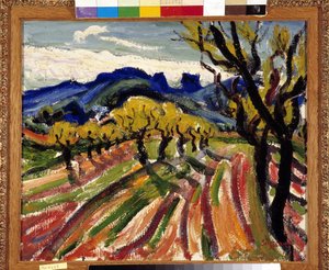 Felt med oliventrær i Alpilles (olje på lerret)