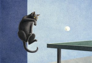 bordtennis av Rene Boin
