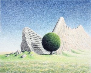 Stein