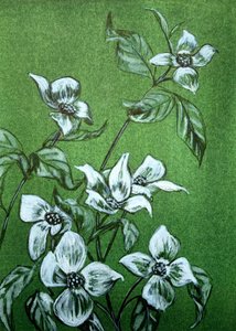 Grønne botaniske blomster