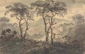 Grantrær i et fjellandskap
