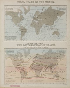 Et tidevannskart og et kart over distribusjonen av planter over hele verden, ca 1850 av John Pardon