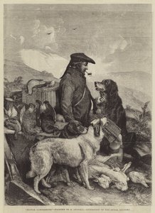 Scotch Gamekeeper