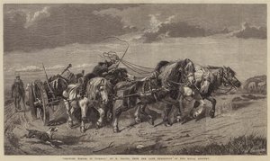 Tegning av tømmer i Picardie av Richard Beavis