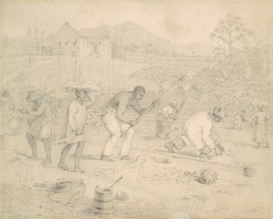 Planting av sukkerrør (Trinidad) av Richard Bridgens