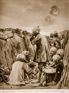 Fredens urt i krigens skyttergraver, 1914-19