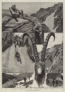 Ibex-Shooting in the Himalaya gravering