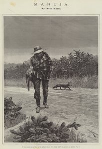 Maruja, av Bret Harte