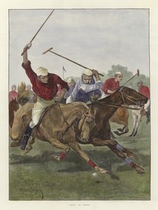 Polo i India