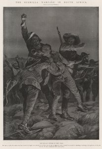 Geriljakrigføringen i Sør-Afrika