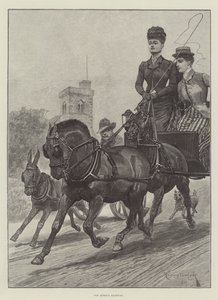 Dronningens motorvei