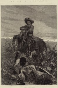 Krigen i Sør-Afrika