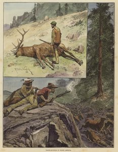 Wapiti-jakt i Nord-Amerika