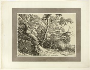  av Richard Cooper II
