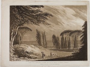  av Richard Cooper II