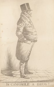 Mr Bowden; Er kamille et stoff av Richard Dighton