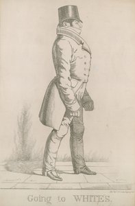 William Arden, 2. baron Alvanley; Skal til White