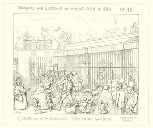 1849, et prospekt av Zoological Societys Gardens av Richard Doyle