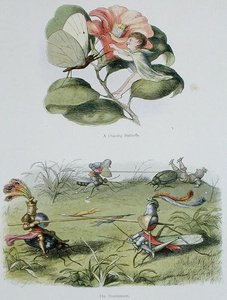 A Dancing Butterfly, and The Tournament, illustrasjoner fra 