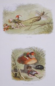 Cruel Elves, and The Elf-King Asleep, illustrasjoner fra 
