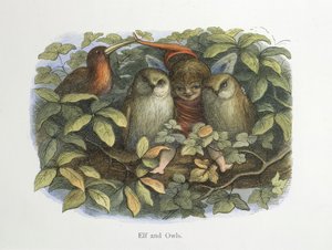 Alv og ugler av Richard Doyle