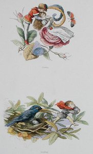 Flørter og stjeler, illustrasjoner fra "In Fairyland: A Series of Pictures from the Elf-World" av William Allingham og Andrew Lang (litho i farger) av Richard Doyle