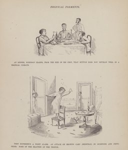 Side fra The American Tour of Mrs Brown, Jones and Robinson (gravering) av Richard Doyle