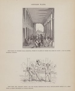 Side fra The American Tour of Mrs Brown, Jones and Robinson (gravering) av Richard Doyle