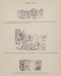 Side fra The American Tour of Mrs Brown, Jones and Robinson (gravering) av Richard Doyle