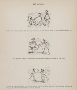 Side fra The American Tour of Mrs Brown, Jones and Robinson (gravering) av Richard Doyle