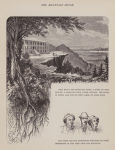 Side fra The American Tour of Mrs Brown, Jones and Robinson (gravering) av Richard Doyle