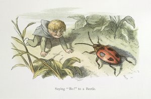 Sier Bo! til en bille av Richard Doyle