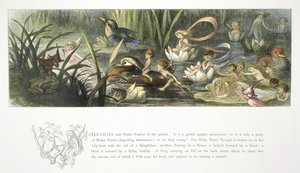 Vannliljer og vannfeer av Richard Doyle