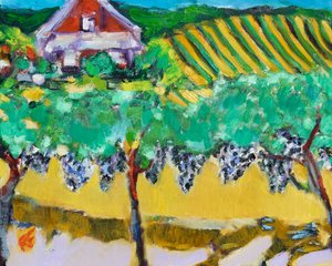 Merlot druer, Napa, 2017 av Richard Fox